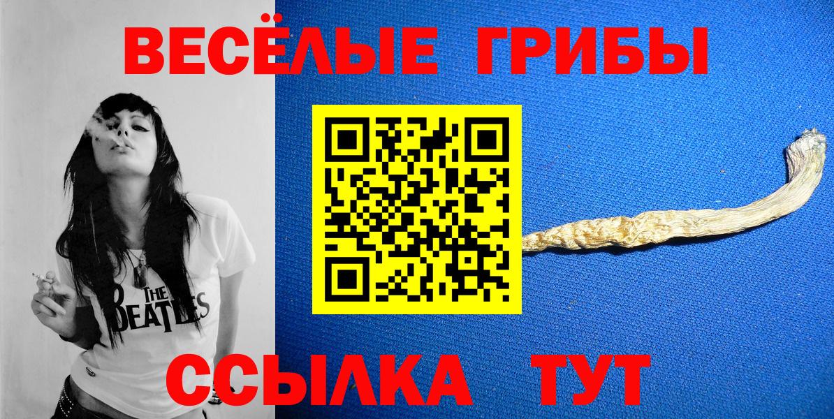 купить наркотики цена  Вход с VPN  Галлюциногенные грибы MAGIC MUSHROOMS  Пугачёв  Псилоцибиновые грибы GOLDEN TEACHER 