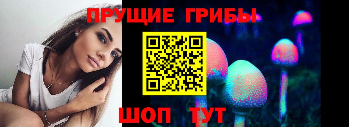 Псилоцибиновые грибы Magic Shrooms Пугачёв