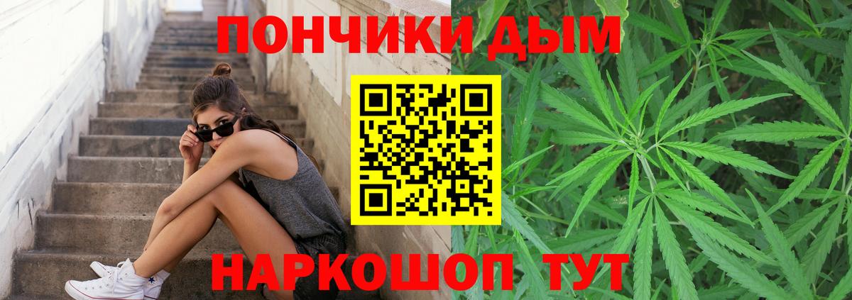Каннабис гибрид  Вход с VPN  Каннабис конопля  Пугачёв  Бошки Шишки THC 21% 